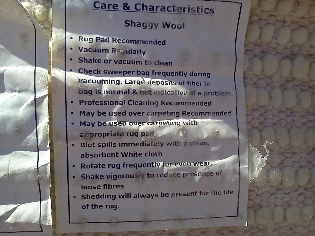 How to remove a poop stain off a a white shaggy wool rug. TruckMount